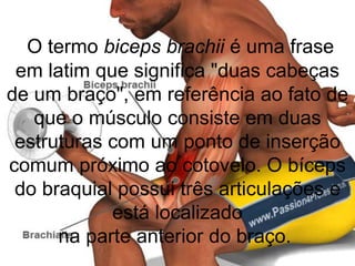 O termo biceps brachii é uma frase
em latim que significa "duas cabeças
de um braço", em referência ao fato de
que o músculo consiste em duas
estruturas com um ponto de inserção
comum próximo ao cotovelo. O bíceps
do braquial possui três articulações e
está localizado
na parte anterior do braço.
 