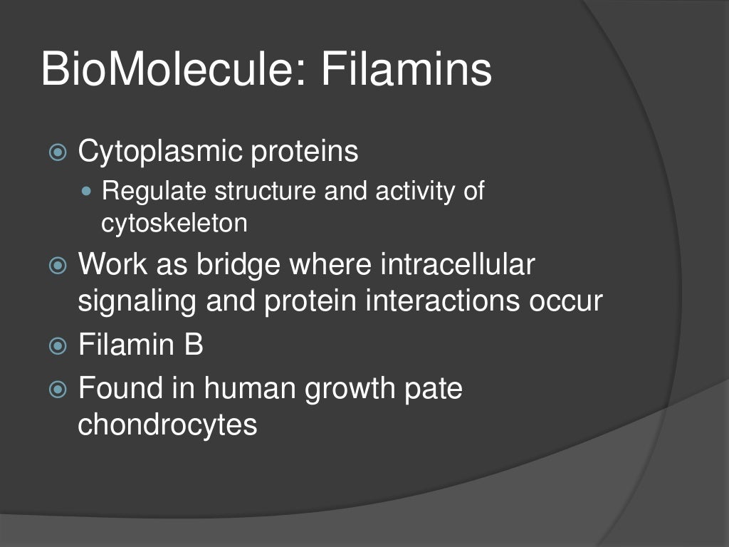 Sample case analysis format picture