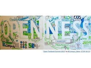 BCFS 2017 AGM presentation