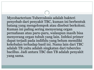 Mycobacterium Tuberculosis adalah bakteri
penyebab dari penyakit TBC, kuman ini berbentuk
batang yang mengelompok atau disebut berkoloni.
Kuman ini paling sering menyerang organ
pernafasan atau paru-paru, walaupun masih bisa
menyerang organ tubuh yang lain. Infeksi primer
dapat terjadi pada indifidu yang belum memiliki
kekebalan terhadap basil ini. Nama lain dari TBC
adalah TB yaitu adalah singkatan dari tubercles
bacillus. Jadi antara TBC dan TB adalah penyakit
yang sama.
 
