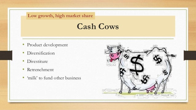 Forex cash cow strategy