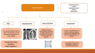 Comprehensive Overview of Tuberculosis and BCG Vaccination | PPTX