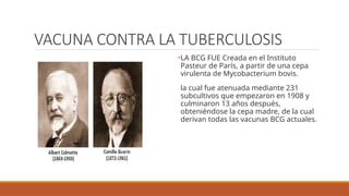 Comprehensive Overview of Tuberculosis and BCG Vaccination | PPTX