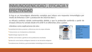 Comprehensive Overview of Tuberculosis and BCG Vaccination | PPTX