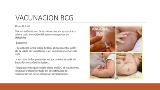 Comprehensive Overview of Tuberculosis and BCG Vaccination | PPTX
