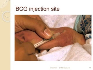 Bcg and hep b vaccination | PPTX