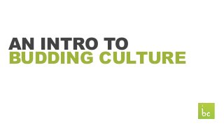 AN INTRO TO
BUDDING CULTURE
 