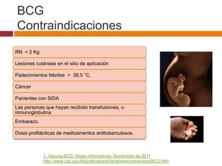 BCG
Contraindicaciones
RN < 2 Kg

Lesiones cutáneas en el sitio de aplicación

Padecimientos febriles > 38.5 °C,

Cáncer

Pacientes con SIDA
Las personas que hayan recibido transfusiones, o
inmunoglobulina
Embarazo.

Dosis profilácticas de medicamentos antituberculosos.



            1. Vacuna BCG, Hojas Informativas, Noviembre de 2011
            http://www.cdc.gov/tb/publications/factsheets/prevention/BCG.htm
 