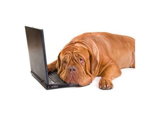 Bcg matrix with ITC company