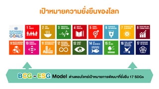 BCG Model | PDF
