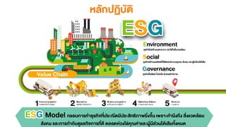BCG Model | PDF