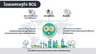 BCG Model | PDF