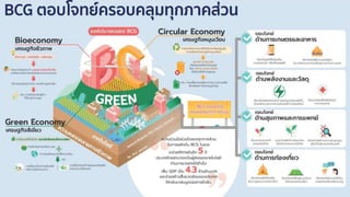 BCG Model | PDF