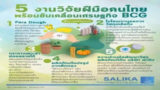 BCG Model | PDF