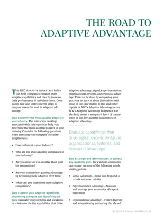 BCG's Report | PDF