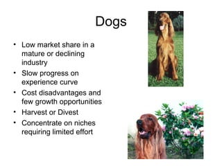 Dogs
• Low market share in a
mature or declining
industry
• Slow progress on
experience curve
• Cost disadvantages and
few growth opportunities
• Harvest or Divest
• Concentrate on niches
requiring limited effort

 