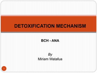 DETOXIFICATION MECHANISM
BCH - ANA
By
Miriam Watafua
1
 
