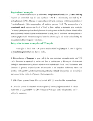 Regulation of urea cycle
The first reaction catalysed by carbamoyl phosphate synthase I (CPS I) is rate-limiting
reaction or committed step in urea synthesis. CPS I is allosterically activated by N-
acetylglutamate (NAG). The rate of urea synthesis in liver is correlated with the concentration of
N-acetylglutamate. High concentrations of arginine increase NAG. The consumption of a
protein-rich meal increases the level of NAG in liver, leading to enhanced urea synthesis.
Carbamoyl phosphate synthase I and glutamate dehydrogenase are localized in the mitochondria.
They coordinate with each other in the formation of NH3, and its utilization for the synthesis of
carbamoyl phosphate. The remaining four enzymes of urea cycle are mostly controlled by the
concentration of their respective substrates.
Integration between urea cycle and TCA cycle
Urea cycle is linked with TCA cycle in three different ways (Figure 3). This is regarded
as bicyclic integration between the two cycles.
1. The production of fumarate in urea cycle is the most important integrating point with TCA
cycle. Fumarate is converted to malate and then to oxaloacetate in TCA cycle. Oxaloacetate
undergoes transamination to produce aspartate which enters urea cycle. Here, it combines with
citrulline to produce arginosuccinate. Oxaloacetate is an important metabolite which can
combine with acetyl CoA to form citrate and get finally oxidized. Oxaloacetate can also serve as
a precursor for the synthesis of glucose (gluconeogenesis).
2. ATP (12) are generated in the TCA cycle while ATP (4) are utilized for urea synthesis.
3. Citric acid cycle is an important metabolic pathway for the complete oxidation of various
metabolites to CO2 and H2O. The CO2 liberated in TCA cycle (in the mitochondria) can be
utilized in urea cycle.
 