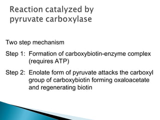 Comprehensive Overview of Cofactors and Vitamins in Enzymatic Functions ...