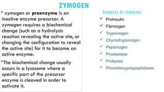 This the study of enzyme for those in undergraduate | PPT