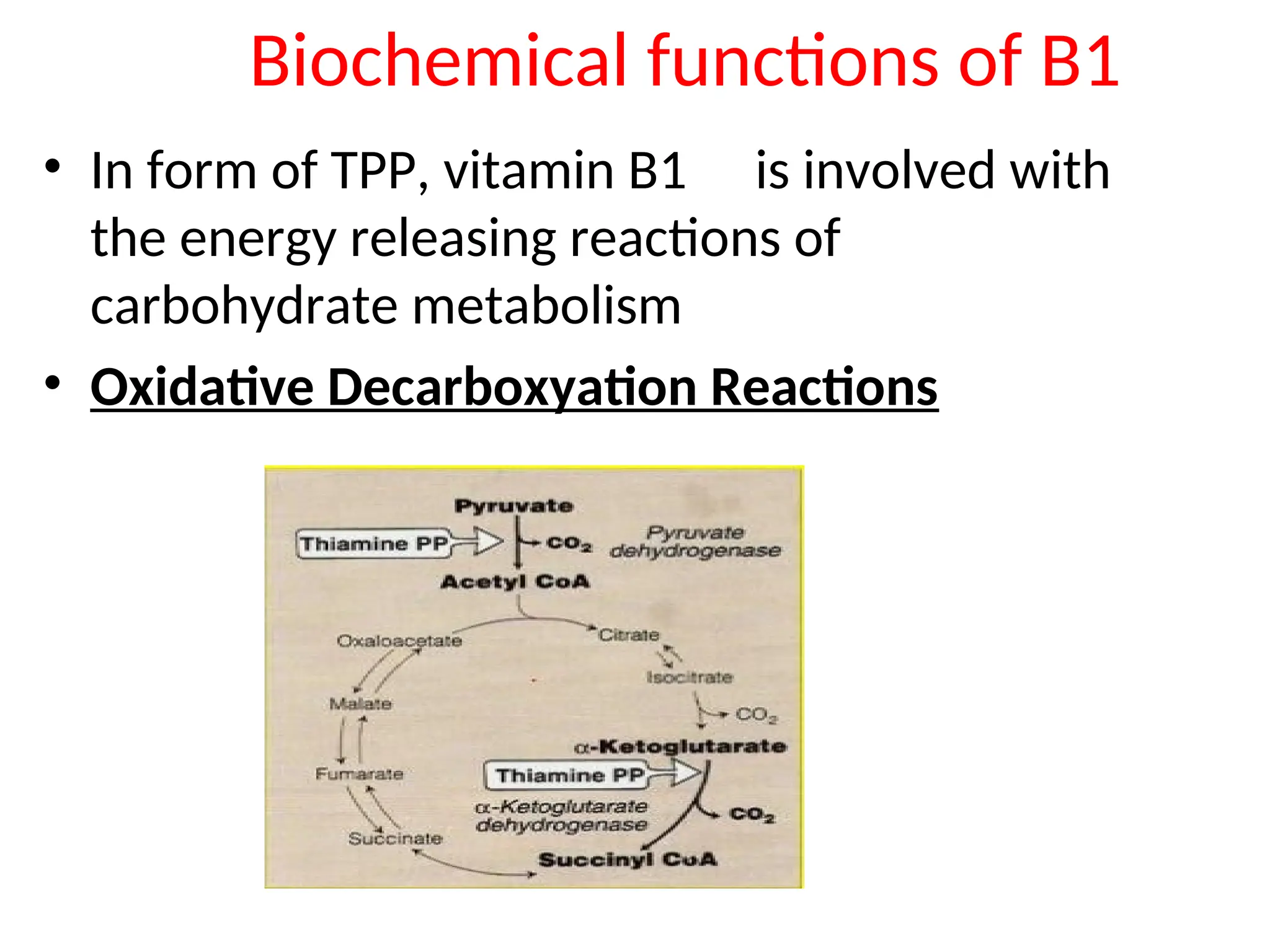 Biochemical functions of B1
• In form of TPP, vitamin B1 is involved with
the energy releasing reactions of
carbohydrate metabolism
• Oxidative Decarboxyation Reactions
 