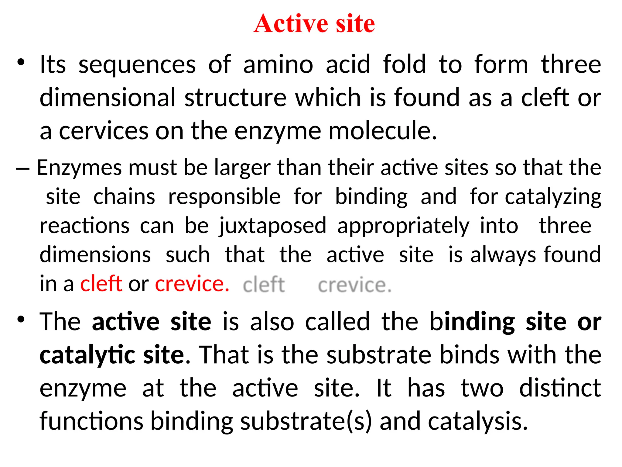 Active site
• Its sequences of amino acid fold to form three
dimensional structure which is found as a cleft or
a cervices on the enzyme molecule.
– Enzymes must be larger than their active sites so that the
site chains responsible for binding and for catalyzing
reactions can be juxtaposed appropriately into three
dimensions such that the active site is always found
in a cleft or crevice.
• The active site is also called the binding site or
catalytic site. That is the substrate binds with the
enzyme at the active site. It has two distinct
functions binding substrate(s) and catalysis.
 