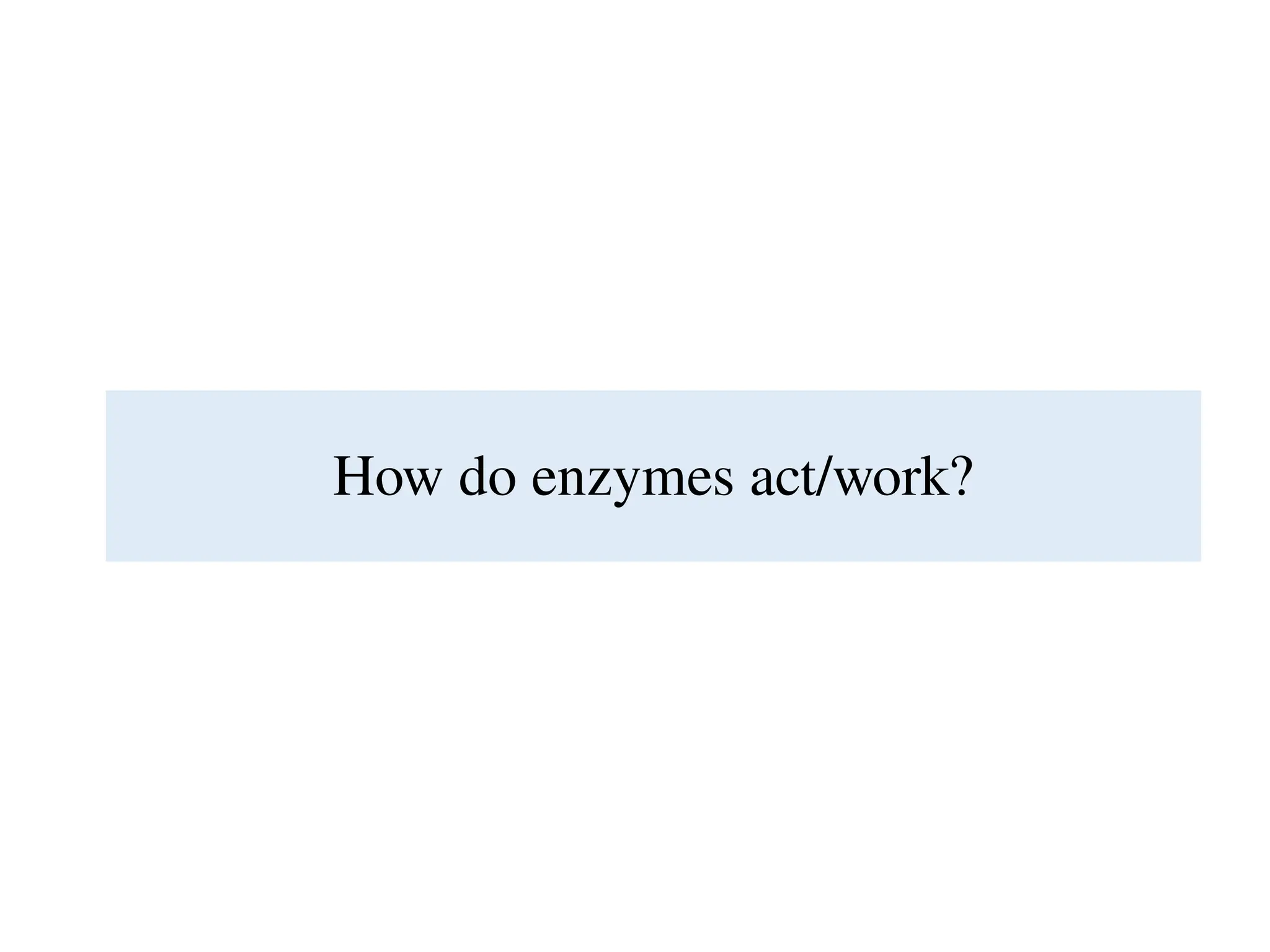 How do enzymes act/work?
 