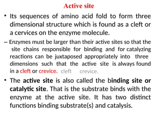 BCH3201 (Enzymes and biocatalysis)-JEB (1).ppt