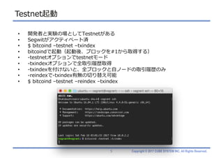 Copyright © 2017 CUBE SYSTEM INC. All Rights Reserved.
Testnet起動
5
• 開発者と実験の場としてTestnetがある
• Segwitがアクティベート済
• $ bitcoind –testnet –txindex
• bitcoindで起動（起動後、ブロックを#1から取得する）
• -testnetオプションでtestnetモード
• -txindexオプションで全取引履歴取得
• -txindexを付けないと、全ブロックと⾃ノードの取引履歴のみ
• -reindexで-txindex有無の切り替え可能
• $ bitcoind –testnet –reindex –txindex
 