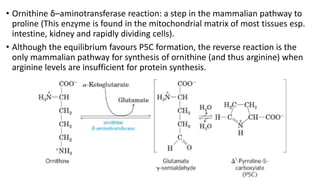 Comprehensive Overview of Amino Acid Biosynthesis Pathways and ...