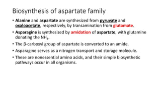 Comprehensive Overview of Amino Acid Biosynthesis Pathways and ...