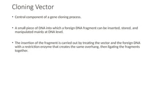 BCHM 415_Vectors.pptx vector in gene clo | PPTX