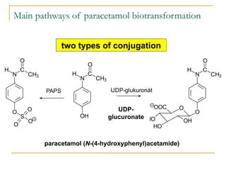 BCHM 423 (Metabolism of Drugs and Xenobiotics).pptx
