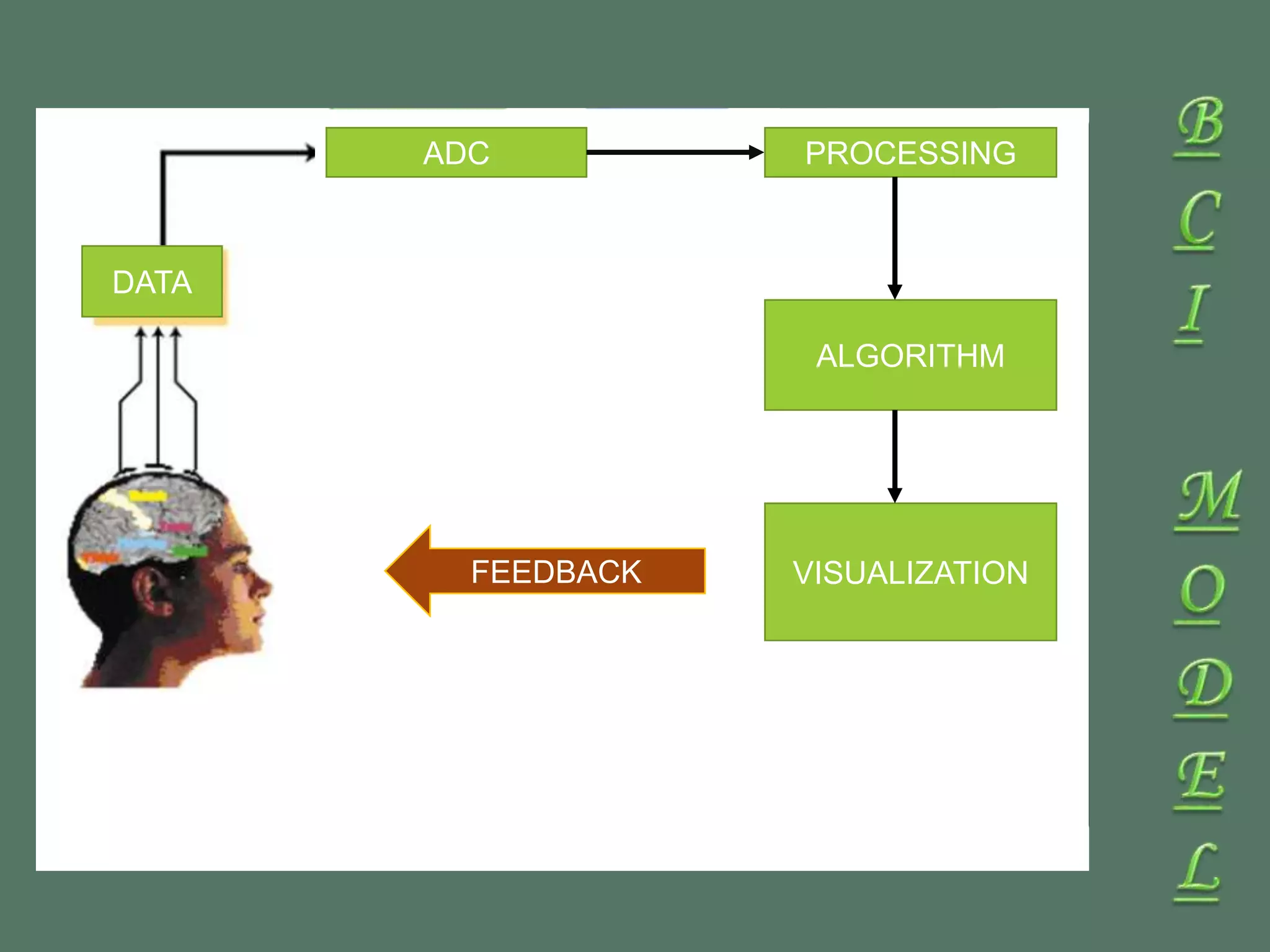 ADC
DATA
PROCESSING
ALGORITHM
VISUALIZATIONFEEDBACK
 