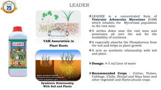 LEADER
LEADER is a concentrated form of
Vesicular Arbuscular Mycorizae (VAM)
which inhabits the Mycorrizal population
in the root zone.
It settles down near the root zone and
penetrates all over the soil for the
availability of nutrients
It especially absorbs the Phosphorous from
the soil and helps in plant growth
It acts as symbiotic relationship with soil
and plant.
Dosage: 4-5 ml/Litre of water
Recommended Crops : Cotton, Pulses,
Cabbage, Chilly, Brinjal and Soya bean and
other vegetable and Horticultural crops
VAM Association in
Plant Roots
Symbiotic Relationship
With Soil and Plants
 