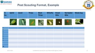 28-12-2022 Confidential- Exclusive for use of Shanmukha Agritec Limited 17
Pest Scouting Format, Example
Sl.
No.
Aphid Jassid Thrips Black
Thrips
Whitefly Broad
Mite
Red Spider
Mite
Mealy bug
1.
2.
3.
4.
5.
6.
7.
30.
 