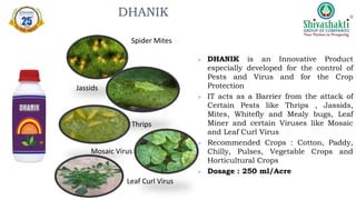 DHANIK
 DHANIK is an Innovative Product
especially developed for the control of
Pests and Virus and for the Crop
Protection
 IT acts as a Barrier from the attack of
Certain Pests like Thrips , Jassids,
Mites, Whitefly and Mealy bugs, Leaf
Miner and certain Viruses like Mosaic
and Leaf Curl Virus
 Recommended Crops : Cotton, Paddy,
Chilly, Pulses, Vegetable Crops and
Horticultural Crops
 Dosage : 250 ml/Acre
Spider Mites
Jassids
Thrips
Mosaic Virus
Leaf Curl Virus
 