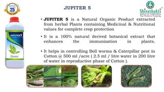 JUPITER 5
• JUPITER 5 is a Natural Organic Product extracted
from herbal Plants containing Medicinal & Nutritional
values for complete crop protection
• It is a 100% natural derived botanical extract that
enhances the immunization in plants.
• It helps in controlling Boll worms & Caterpillar pest in
Cotton @ 500 ml /acre ( 2.5 ml / litre water in 200 litre
of water in reproductive phase of Cotton ).
 
