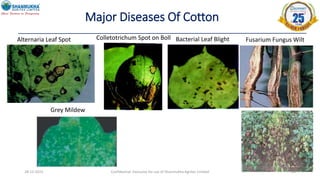 28-12-2022 Confidential- Exclusive for use of Shanmukha Agritec Limited 28
Major Diseases Of Cotton
Alternaria Leaf Spot Bacterial Leaf Blight
Colletotrichum Spot on Boll
Grey Mildew
Fusarium Fungus Wilt
 