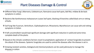 28-12-2022 Confidential- Exclusive for use of Shanmukha Agritec Limited 29
Plant Diseases Damage & Control
 Different foliar fungi ( Alternaria, Colletotricum, Ramularia cause leaf spots, Boll Rot, mildew & die back
symptoms in cotton.
 Bacteria like Xanthomonas malvacearum cuases leaf spots, blacking of branches called black arm or rotting
of bolls.
 Soil fungi like Fusarium, Verticillium, Cephalosphorium, Rhizoctonia, Myrothecium can cause wilt and rotting
symptoms in Cotton
 If left uncontrolled it would lead significant damage with significant reduction in yield and some times
complete death of the plants
 Based on the climatic conditions farmers resort to prophylactic application of contact fungicides to prevent
the attack of the diseases. Systemic fungicides are used to control the diseases after the disease is set in.
 Growing resistant varieties, biological and chemical products can be used judiciously to manage the
diseases in cotton.
 