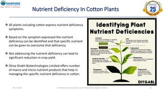 28-12-2022 Confidential- Exclusive for use of Shanmukha Agritec Limited 33
Nutrient Deficiency In Cotton Plants
 All plants including cotton express nutrient deficiency
symptoms.
 Based on the symptom expressed the nutrient
deficiency can be identified and that specific nutrient
can be given to overcome that deficiency.
 Not addressing the nutrient deficiency can lead to
significant reduction in crop yield.
 Shiva Shakti Biotechnologies Limited offers number
of macro and micro nutrient products that help in
managing the specific nutrient deficiency in cotton.
 