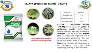 VIJAYA (Potassium Nitrate) 13:0:45
Nutrient Content
Nitrogen (N) 13%
Phosphorous (P) 0%
Potassium (K) 45%
VIJAYA (Potassium Nitrate
13:0:45)” is an innovative foliar &
fertigation grade, 100% Water
soluble Complex Fertilizer containing
Nitrogen (13% as NO3) and Potash
(45% as K2O) with improved leaf &
root absorption properties. This can
be sprayed at any stage of the crop.
Dose : 5 g /lt water for foliar spray &
for fertigation 1-3 Kg/ acre
depending on Crop & Soil condition.
Potassium & Nitrogen
Deficiency Symptoms
 
