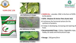VIJAYA ZINC 12%
VIJAYA Zinc provides ZINC in the form of EDTA
to the plants.
EDTA : Ethylene Di-Amine Tetra Acetic Acid
It enhances the hormonal actions for the
synthesis of proteins
It helps in developing ,increasing and repining of
fruits
Recommended Crops : Cotton, Vegetable crops,
Paddy, Oil seeds and Horticultural crops
Dosage : 250 grams/Acre
Zinc Deficiency in Grapes
Zinc Deficiency in Paddy
Zinc Deficiency in Cotton
 