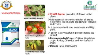 VIJAYA BORON 20% VIJAYA Boron provides of Boron to the
plants.
It is essential Micronutrient for all crops.
It Prevents Pre-mature dropping of Flowers
and Fruits
 It improves fruit size, sweetness and High
yield.
 Boron is very useful in preventing cracks
in fruit
Recommended Crops : Cotton, Vegetable
crops, Paddy, Oil seeds and Horticultural
crops
Dosage : 250 grams/Acre
Boron Deficiency in Cotton
Boron Deficiency in Tomato
Fruits
Boron Deficiency in Mango
Fruits
 