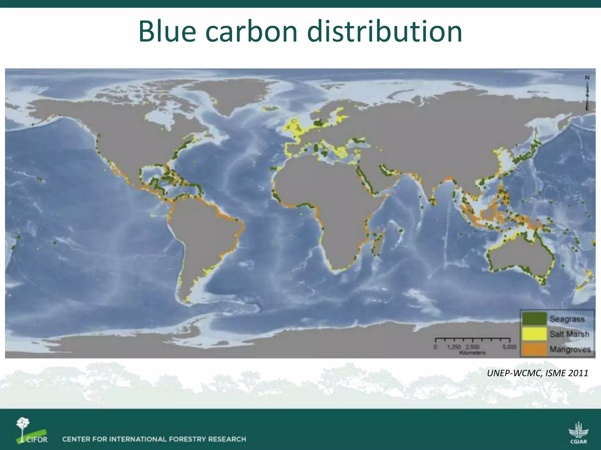 Blue carbon distribution
UNEP-WCMC, ISME 2011
 