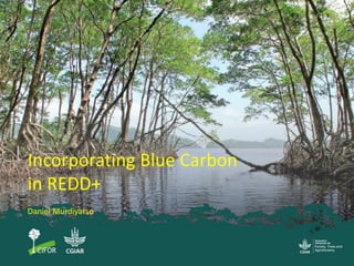 Incorporating Blue Carbon
in REDD+
Daniel Murdiyarso
 