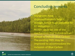 Incorporating Blue Carbon in REDD+