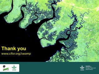 Incorporating Blue Carbon in REDD+