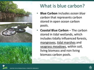 What is blue carbon?
• Blue Carbon includes ocean blue
carbon that represents carbon
stored in open ocean carbon
pools.
• ...