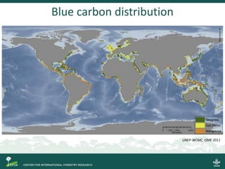 Blue carbon distribution
UNEP-WCMC, ISME 2011
 
